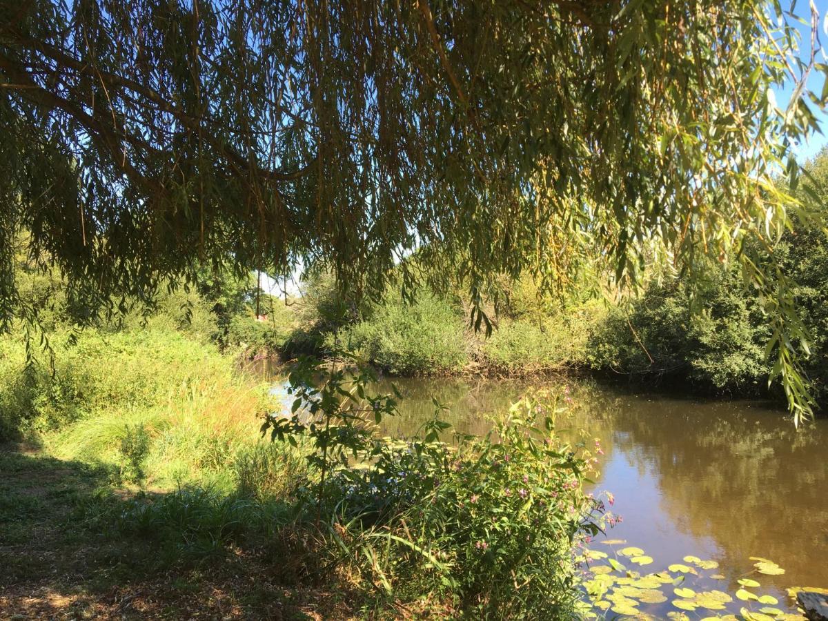 Les Bruyeres Gite Montbron Exteriör bild