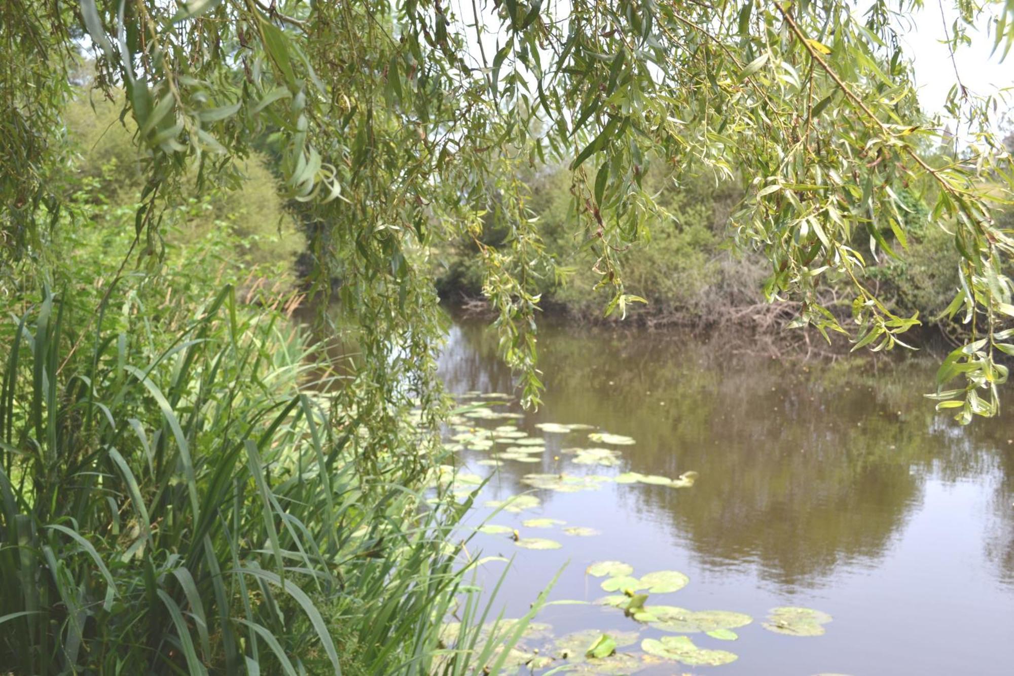 Les Bruyeres Gite Montbron Exteriör bild